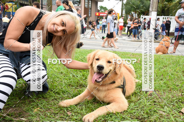 Buy your photos of the event13� C�ominhada - Santos on Fotop