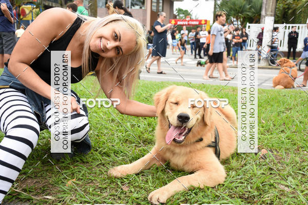 Buy your photos of the event13� C�ominhada - Santos on Fotop