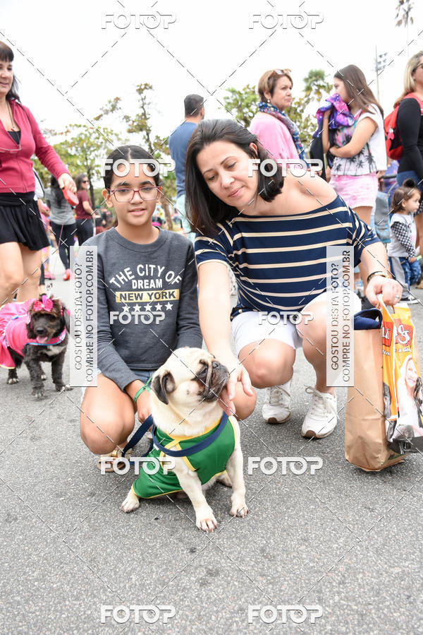 Buy your photos of the event13� C�ominhada - Santos on Fotop