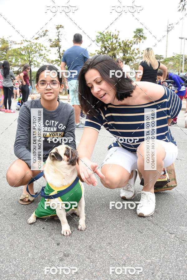 Buy your photos of the event13� C�ominhada - Santos on Fotop