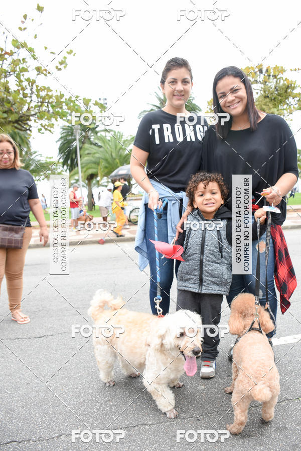 Buy your photos of the event13� C�ominhada - Santos on Fotop