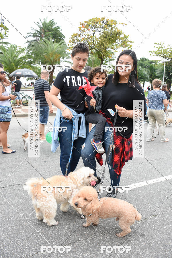 Buy your photos of the event13� C�ominhada - Santos on Fotop