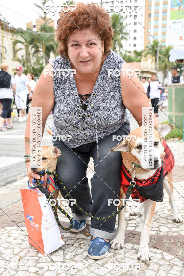 Buy your photos of the event13� C�ominhada - Santos on Fotop