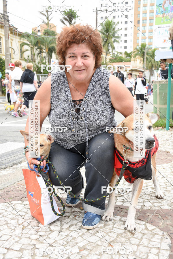 Buy your photos of the event13� C�ominhada - Santos on Fotop