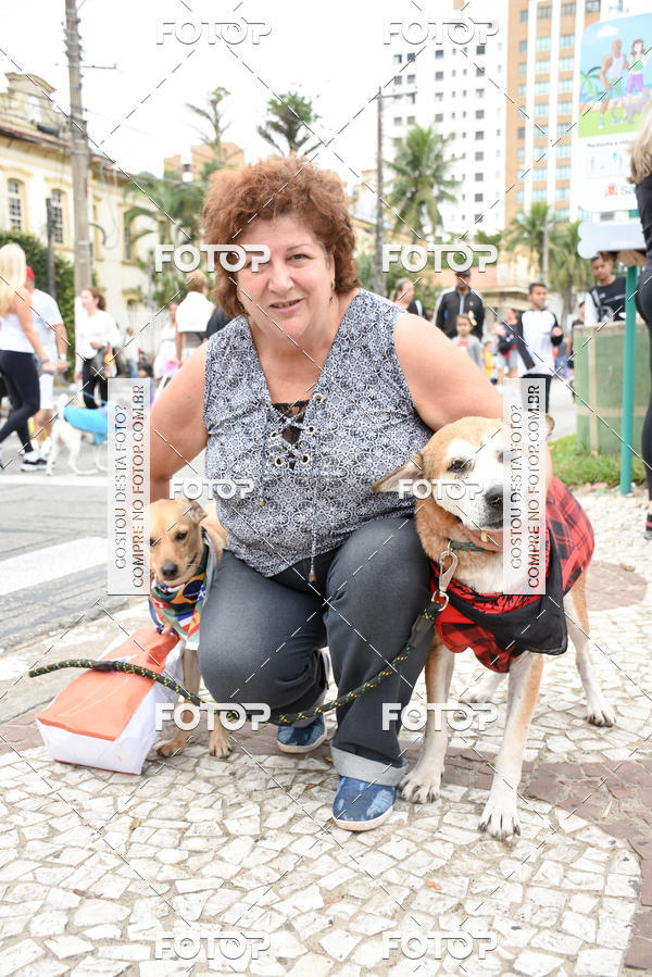 Buy your photos of the event13� C�ominhada - Santos on Fotop