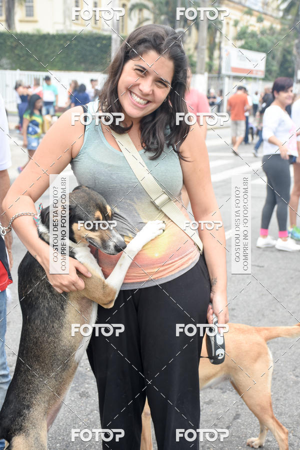 Buy your photos of the event13� C�ominhada - Santos on Fotop