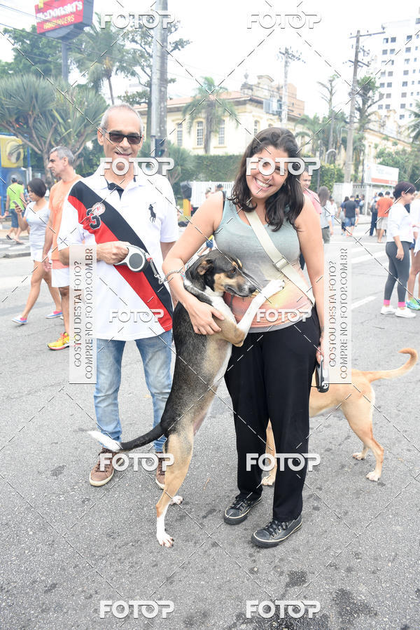 Buy your photos of the event13� C�ominhada - Santos on Fotop