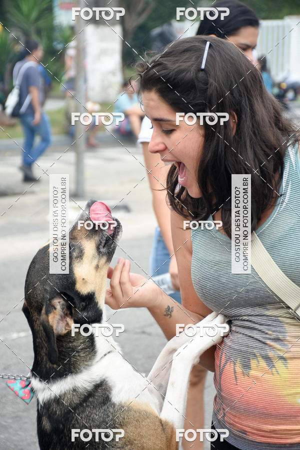 Buy your photos of the event13� C�ominhada - Santos on Fotop