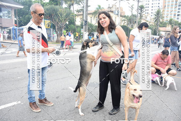 Buy your photos of the event13� C�ominhada - Santos on Fotop