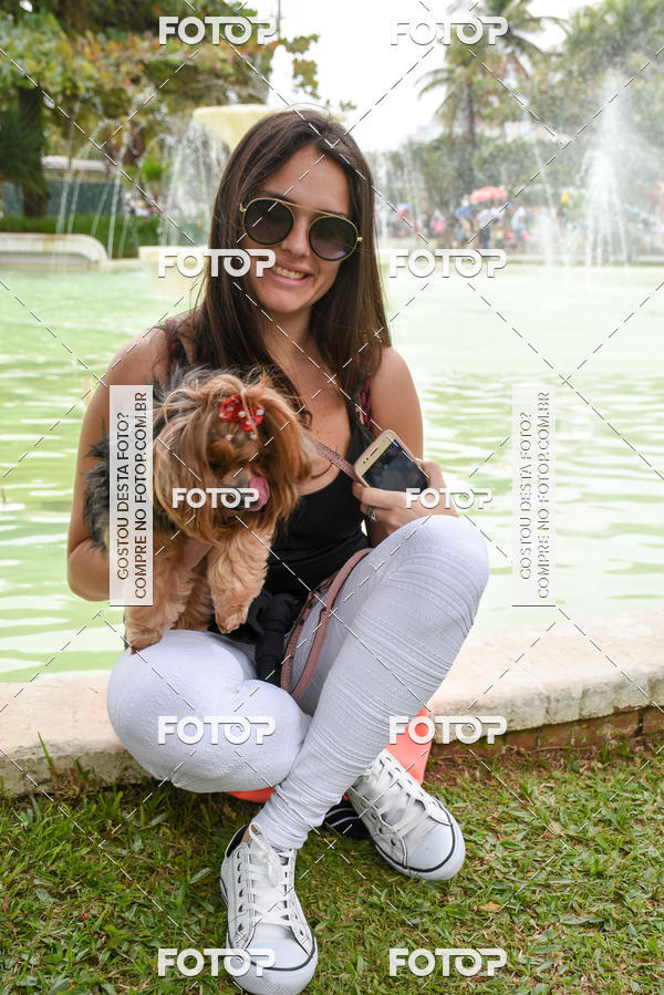 Buy your photos of the event13� C�ominhada - Santos on Fotop