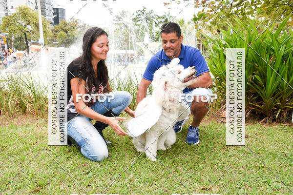 Buy your photos of the event13� C�ominhada - Santos on Fotop