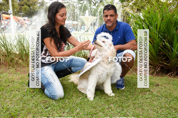 Buy your photos of the event13� C�ominhada - Santos on Fotop