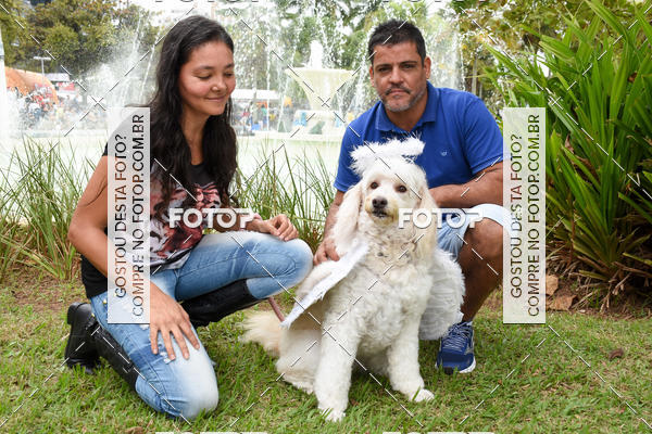 Buy your photos of the event13� C�ominhada - Santos on Fotop