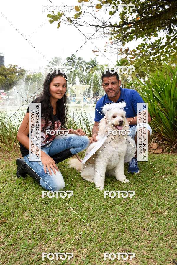 Buy your photos of the event13� C�ominhada - Santos on Fotop