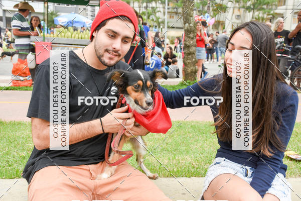 Buy your photos of the event13� C�ominhada - Santos on Fotop