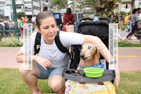 Buy your photos of the event13� C�ominhada - Santos on Fotop