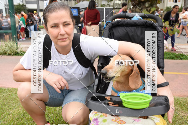 Buy your photos of the event13� C�ominhada - Santos on Fotop