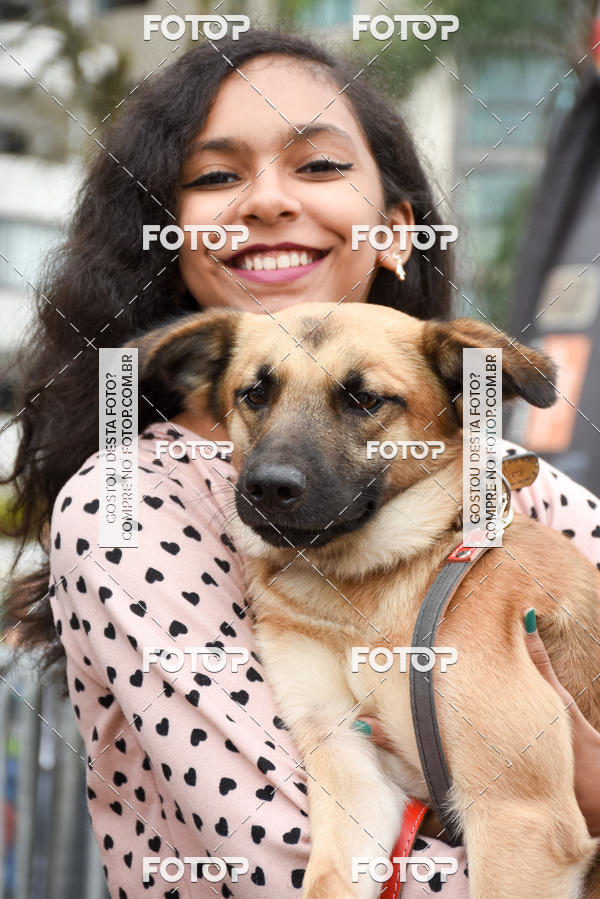 Buy your photos of the event13� C�ominhada - Santos on Fotop