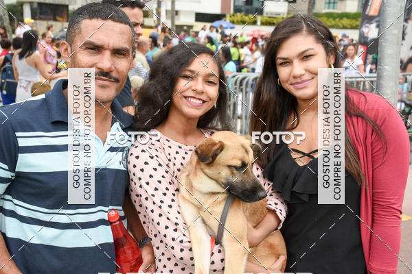 Buy your photos of the event13� C�ominhada - Santos on Fotop