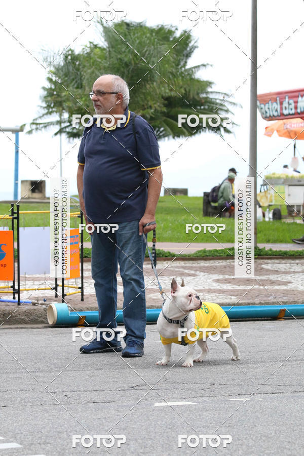 Buy your photos of the event13� C�ominhada - Santos on Fotop