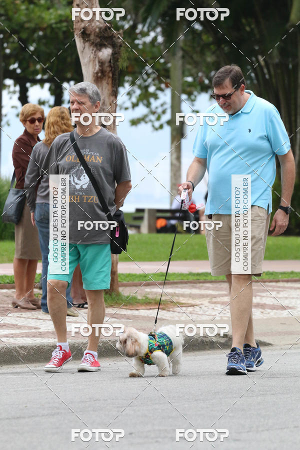 Buy your photos of the event13� C�ominhada - Santos on Fotop