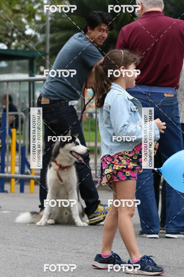 Buy your photos of the event13� C�ominhada - Santos on Fotop