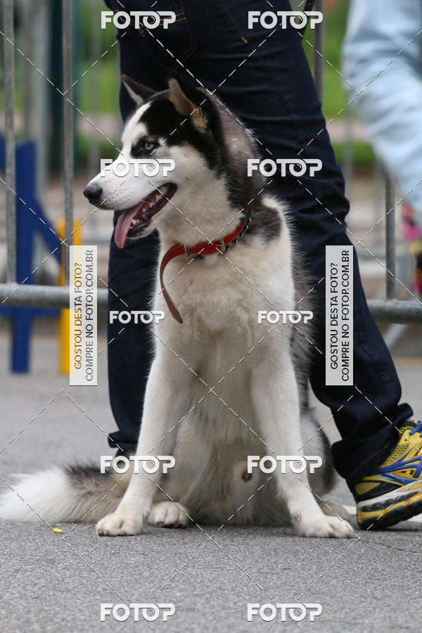 Buy your photos of the event13� C�ominhada - Santos on Fotop