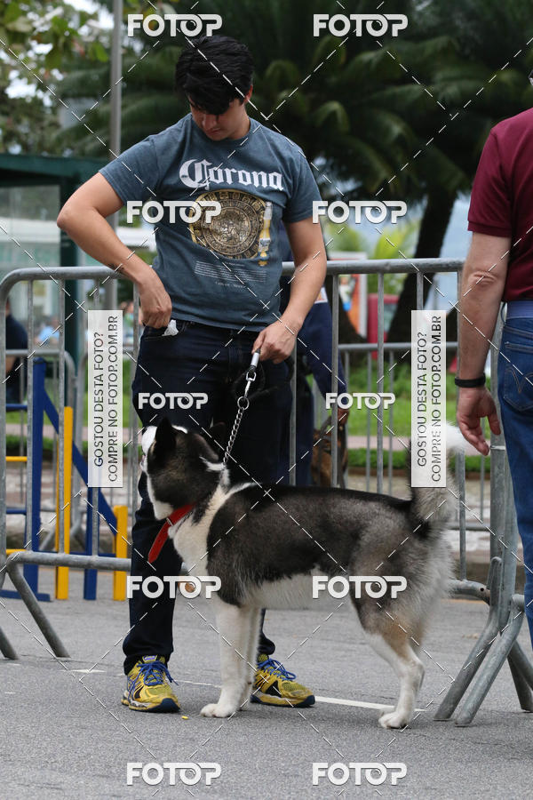 Buy your photos of the event13� C�ominhada - Santos on Fotop