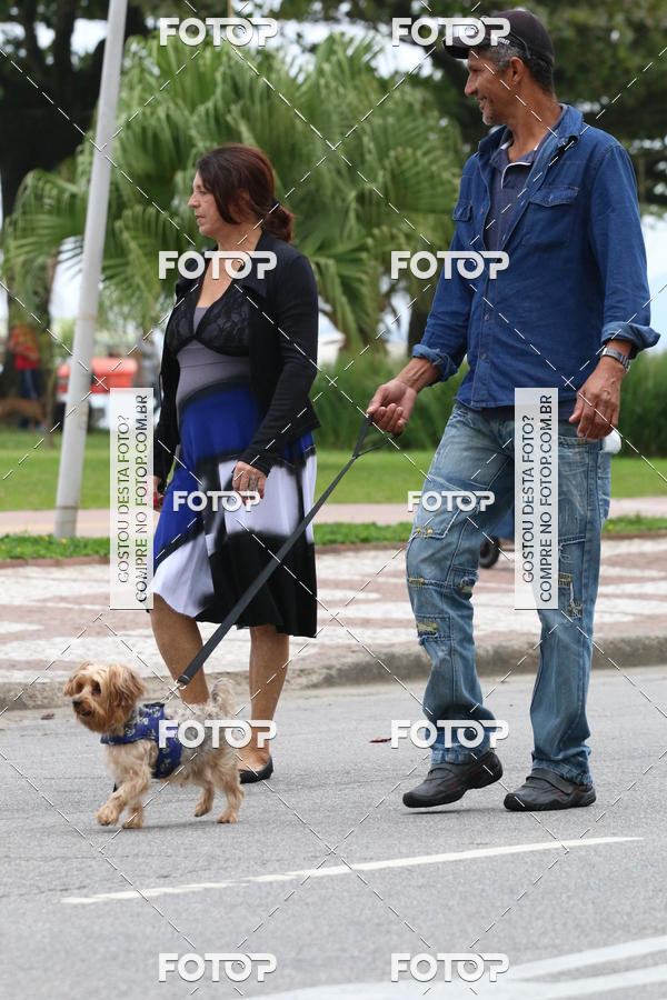 Buy your photos of the event13� C�ominhada - Santos on Fotop