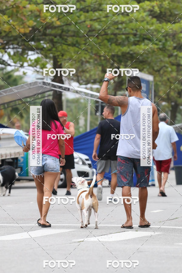 Buy your photos of the event13� C�ominhada - Santos on Fotop