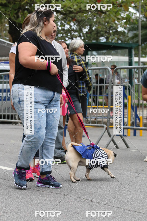 Buy your photos of the event13� C�ominhada - Santos on Fotop