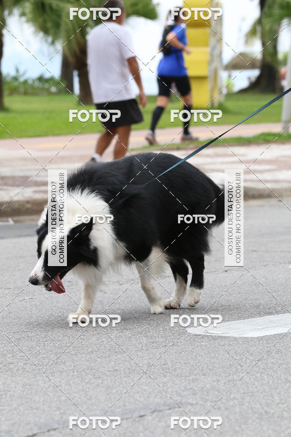 Buy your photos of the event13� C�ominhada - Santos on Fotop