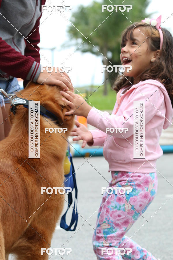 Buy your photos of the event13� C�ominhada - Santos on Fotop