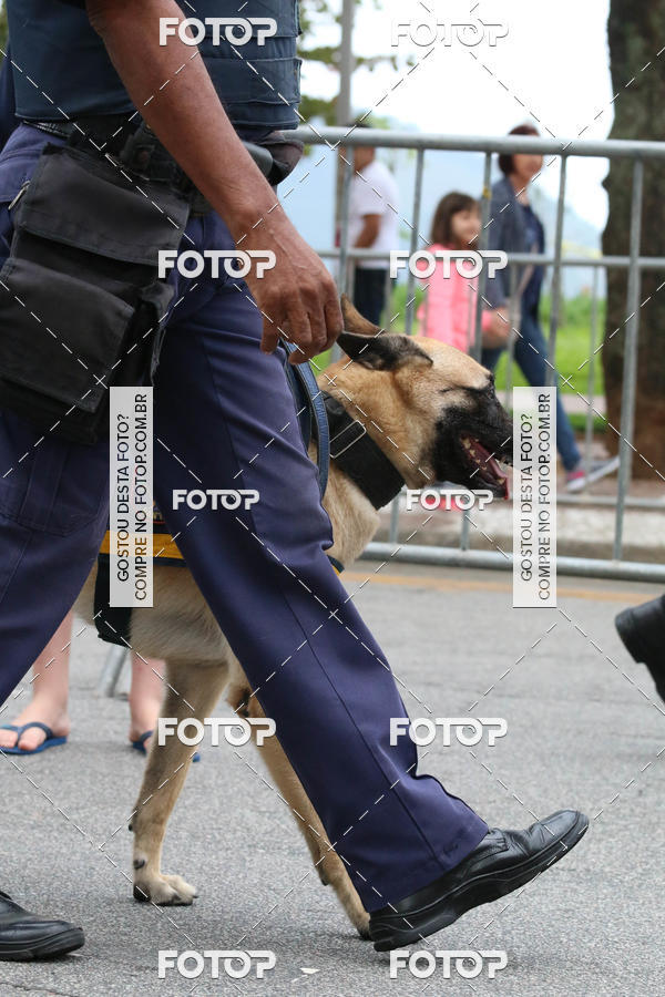 Buy your photos of the event13� C�ominhada - Santos on Fotop