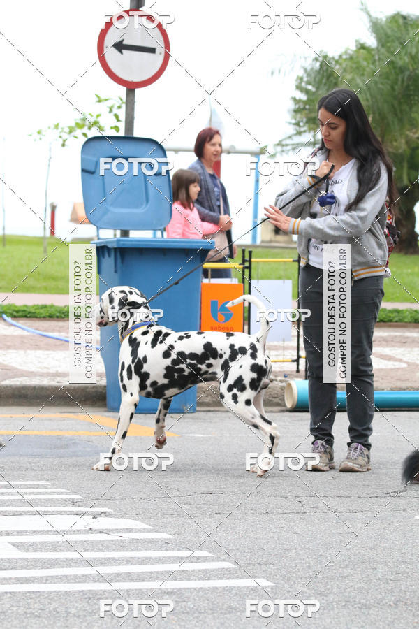 Buy your photos of the event13� C�ominhada - Santos on Fotop