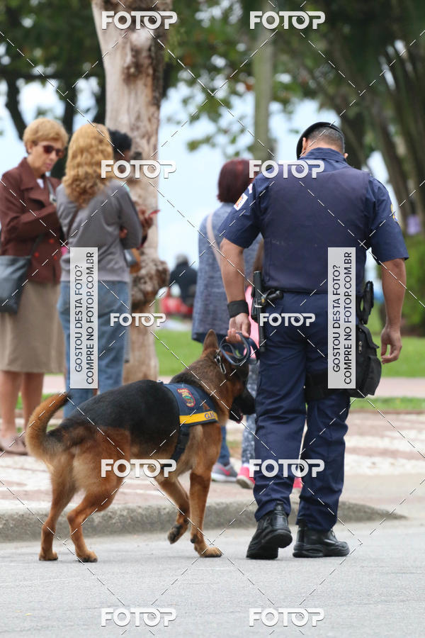 Buy your photos of the event13� C�ominhada - Santos on Fotop