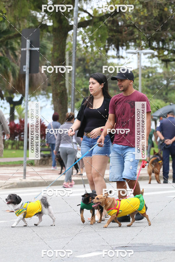 Buy your photos of the event13� C�ominhada - Santos on Fotop