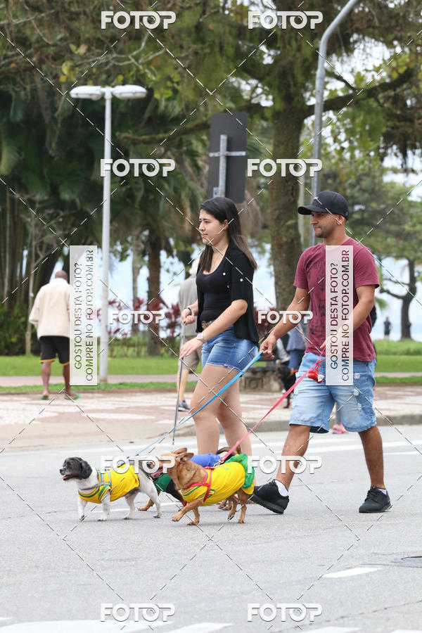 Buy your photos of the event13� C�ominhada - Santos on Fotop