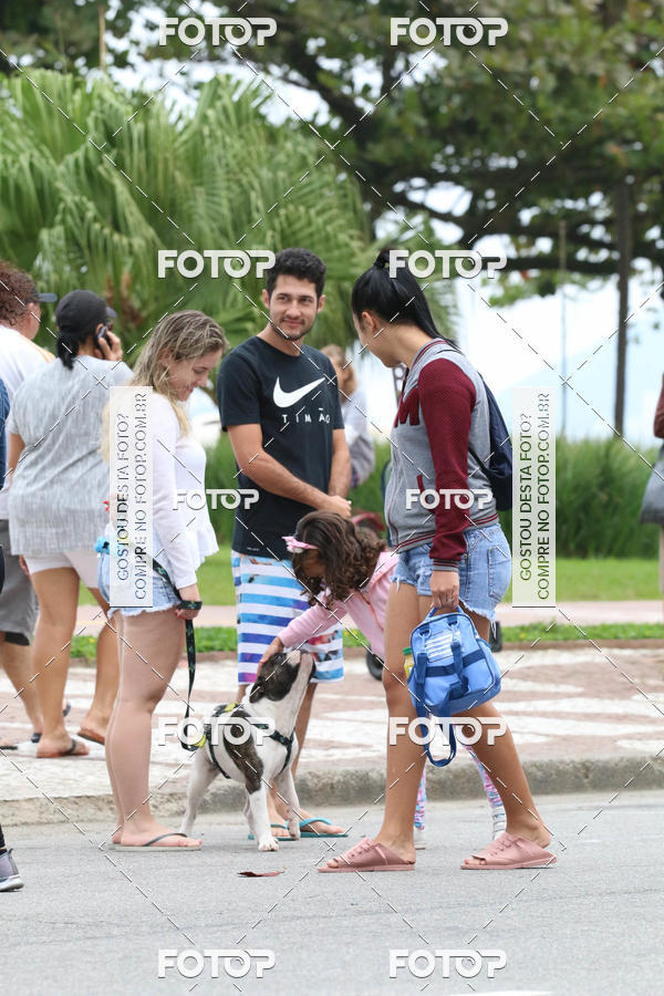 Buy your photos of the event13� C�ominhada - Santos on Fotop