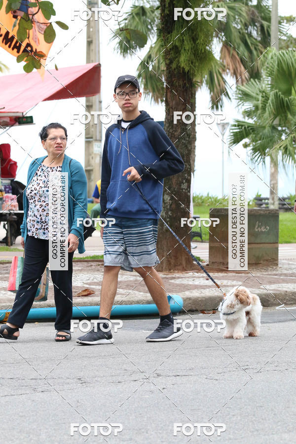 Buy your photos of the event13� C�ominhada - Santos on Fotop