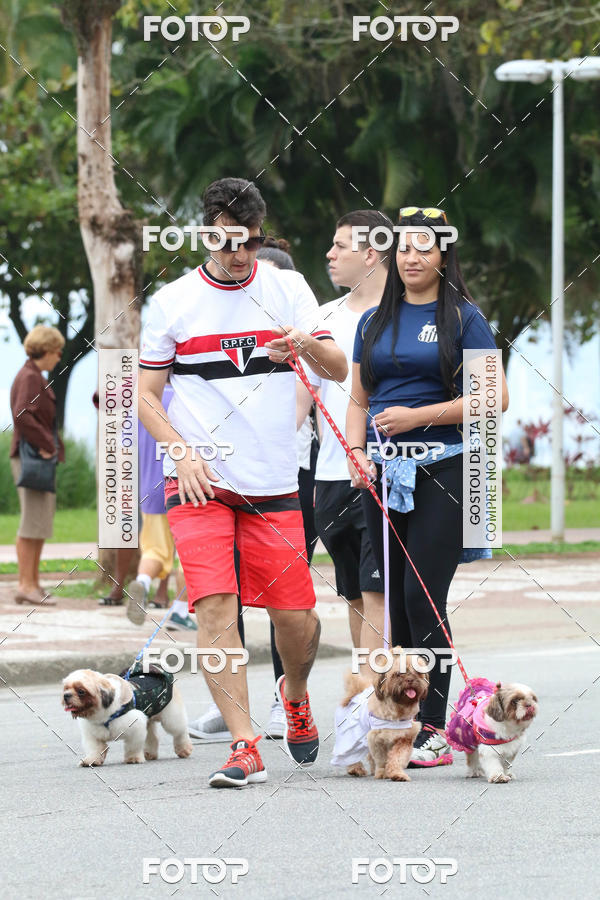 Buy your photos of the event13� C�ominhada - Santos on Fotop