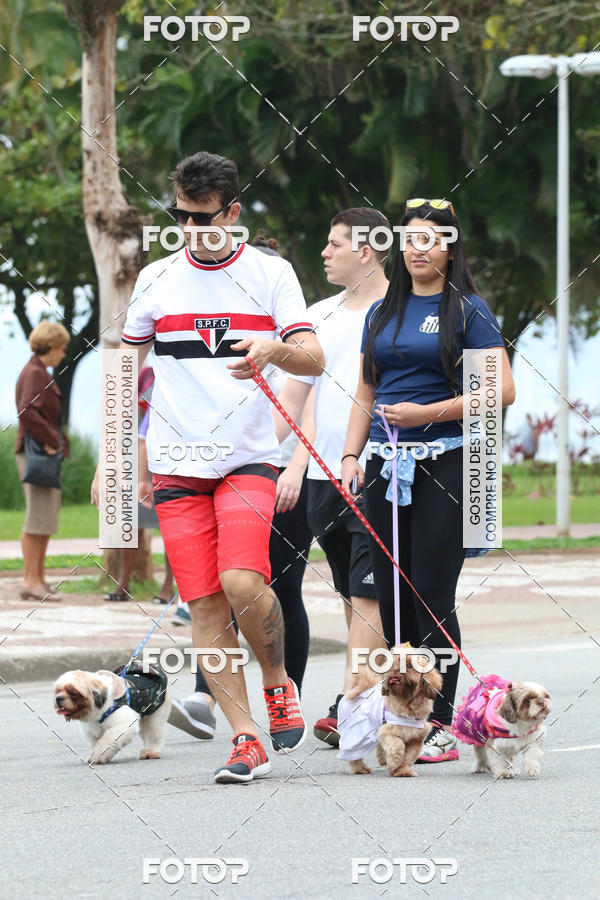 Buy your photos of the event13� C�ominhada - Santos on Fotop