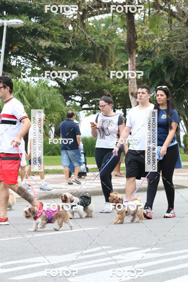 Buy your photos of the event13� C�ominhada - Santos on Fotop