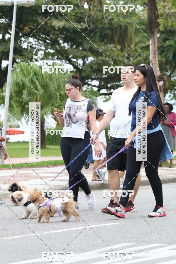 Buy your photos of the event13� C�ominhada - Santos on Fotop