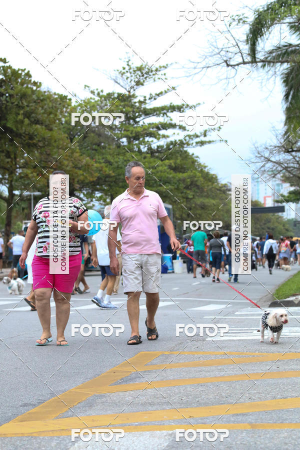 Buy your photos of the event13� C�ominhada - Santos on Fotop