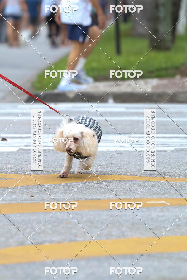 Buy your photos of the event13� C�ominhada - Santos on Fotop