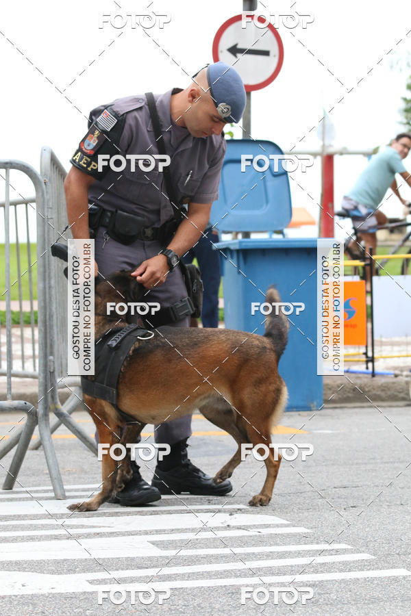 Buy your photos of the event13� C�ominhada - Santos on Fotop