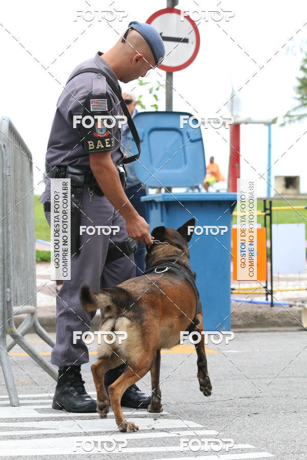 Buy your photos of the event13� C�ominhada - Santos on Fotop