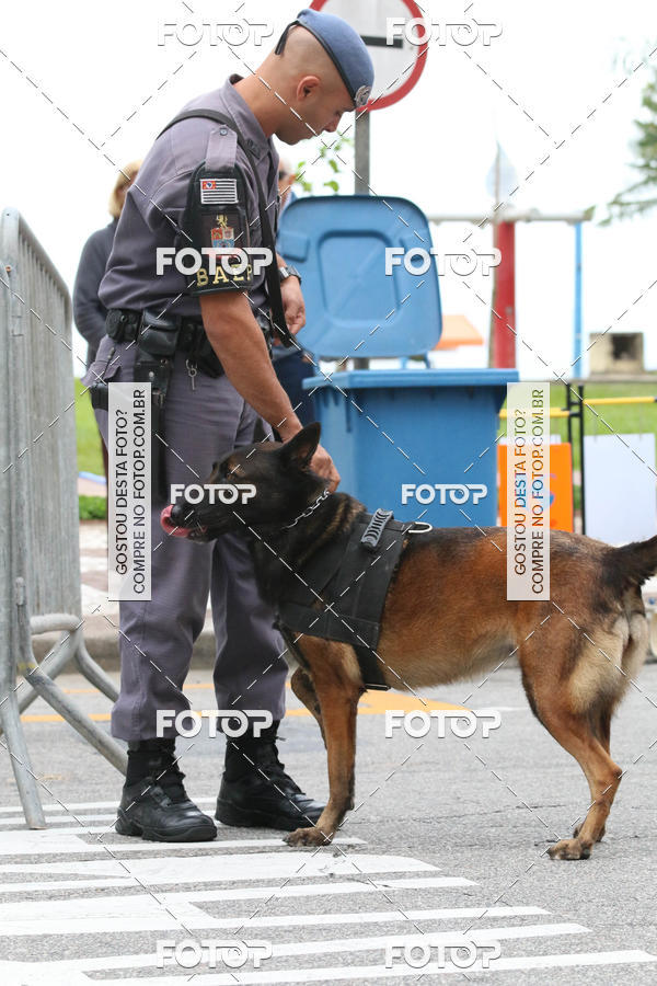 Buy your photos of the event13� C�ominhada - Santos on Fotop