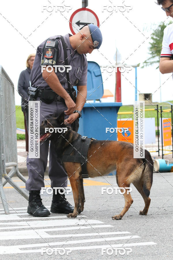 Buy your photos of the event13� C�ominhada - Santos on Fotop